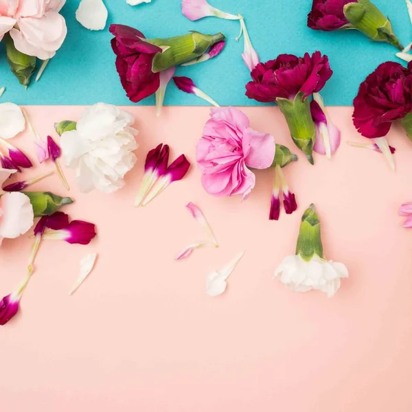 Florale Flache Lage Mit Mini Nelkenblüten Und Blütenblättern — Stockfoto