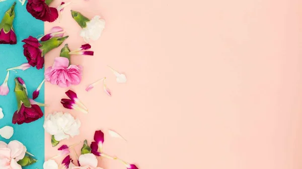 Farbblock Floral Flach Gelegt Mit Mini Nelkenblüten Und Blütenblättern — Stockfoto