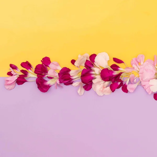 Blütenblätter Auf Farbblock Lavendel Und Gelb Flach Gelegt — Stockfoto