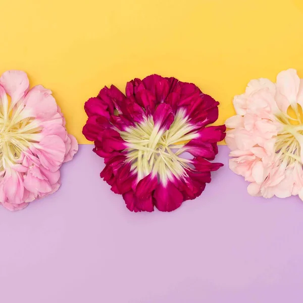 Dekonstruierte Blüten Auf Lila Und Gelben Blütenflächen — Stockfoto