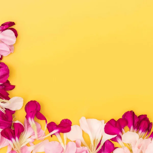 Leuchtend Gelb Floral Flach Lag Mit Rosa Und Kastanienbraunen Blütenblättern — Stockfoto