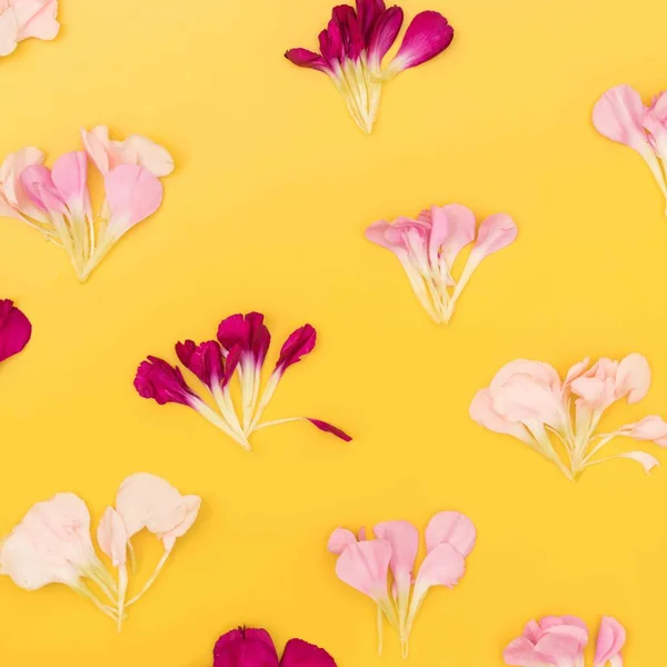 Világos Sárga Virágos Lapos Feküdt Dekonstruált Virágok — Stock Fotó