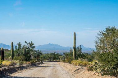 Ulusal parkın güzel çöl deneyine doğru yol alıyoruz.