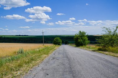 Kırsal bir yolda buğdaylı tarlalar ve açık gökyüzü