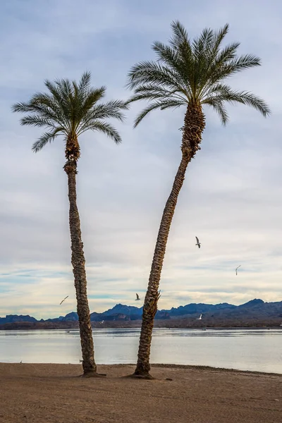 Grande Corso Acqua Rinfrescante Con Una Vista Tranquilla Sul Lago — Foto Stock