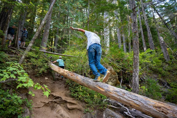 Homme Équilibrage Rondins Lors Randonnées Forêt — Photo