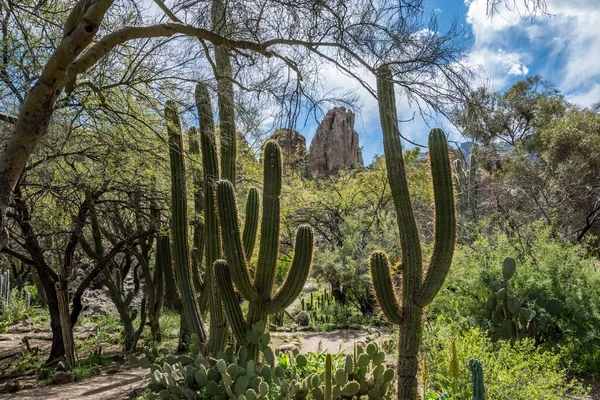 Paisaje Épico Montaña Desde Sendero Del Parque Reserva —  Fotos de Stock