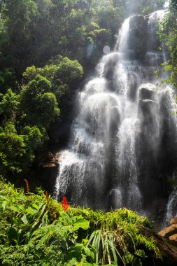Itatiaia Park, Rio de Janeiro, Brezilya 'daki Atlantik yağmur ormanı şelalesinin güzel manzarası