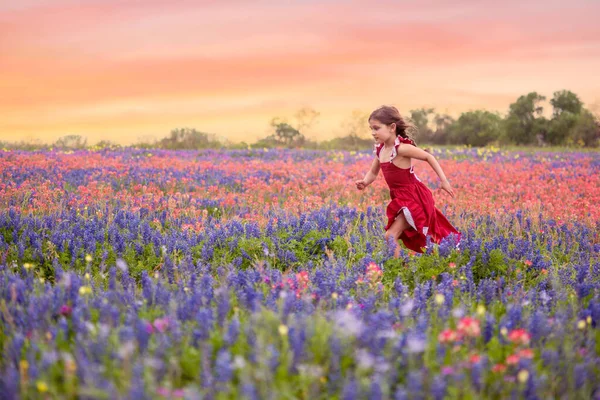 Chica Vestido Rojo Corriendo Texas Wildflower Field —  Fotos de Stock