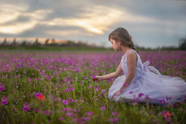 Kislány Szedés Virágok Texas Wildflower Field Naplementekor — Stock Fotó