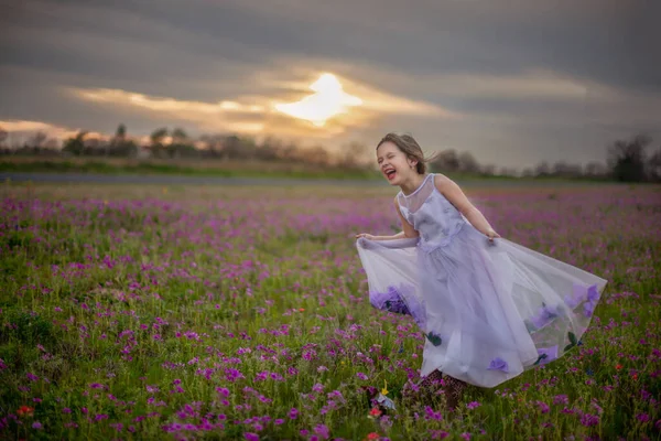 Mor Elbiseli Teksas Yaban Çiçeği Tarlasında Gülen Küçük Kız — Stok fotoğraf
