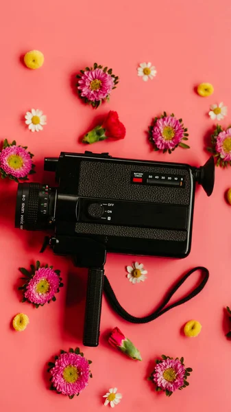 Verntical Overhead Video Camera Flowers Pink Background — Stock Photo, Image