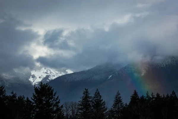 Montagnes Dans Les Nuages Washington Pnw — Photo
