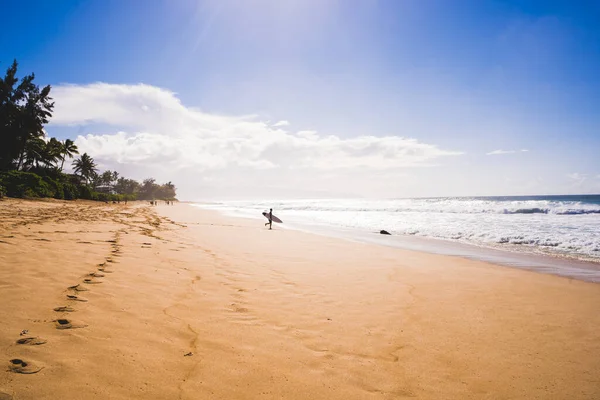 Surfista Segurando Sua Prancha Costa Mar Havaí — Fotografia de Stock