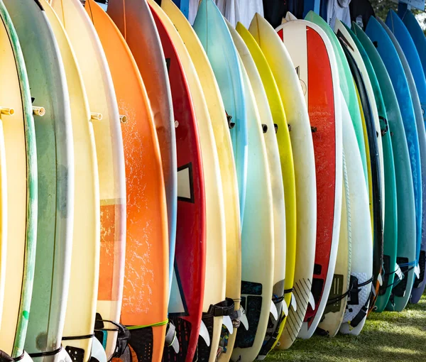 Veelkleurige Surfplanken Een Plankenrek — Stockfoto
