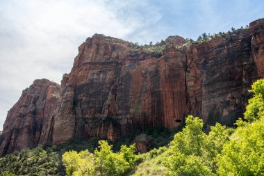 Koruma parkının yürüyüş izinden destansı dağ manzarası