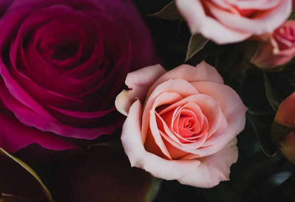 Close Buquê Rosas Rosa Plena Floração — Fotografia de Stock