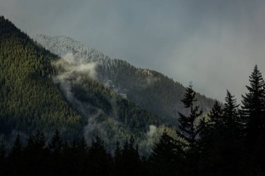 PNW Washington Dağı ve Skyscapes Moody Peyzajı