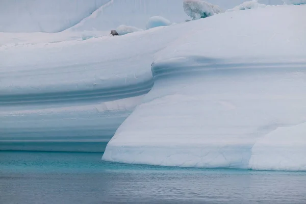 Lignes Textures Gros Icebergs — Photo