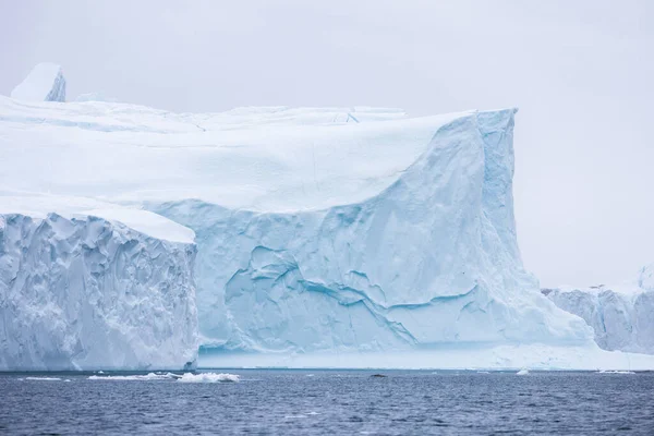 Texturas Caprichosas Formas Dos Icebergues — Fotografia de Stock
