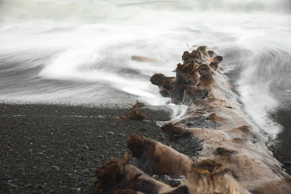 Pnw Beach Pobřežní Krajina Fotografie — Stock fotografie