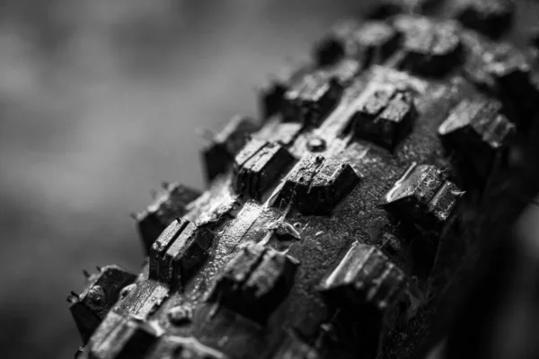 Neumático Bicicleta Montaña Close Washington Pnw —  Fotos de Stock