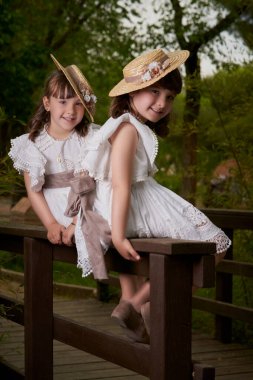 Komünyon ikizi küçük kız kardeşler tahta bir çitte oturuyor