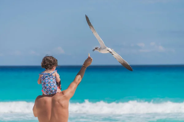 Homem Latino Carregando Sua Menina Seus Ombros Alimentando Gaivotas — Fotografia de Stock