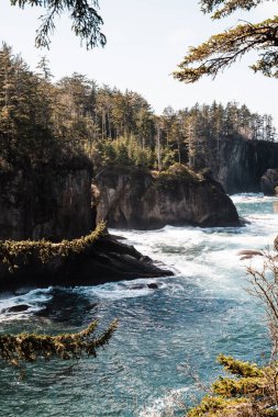 Dalgalar Washington sahilindeki yüksek kayalıklara çarpıyor