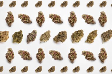 Beyaz arka planda tıbbi esrar, güzel çiçek marihuanası