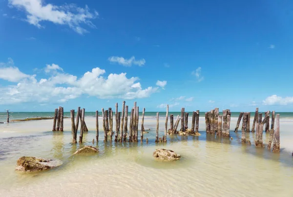 Faoszlopok Paradicsomi Nyugodt Strand Homokjában — Stock Fotó