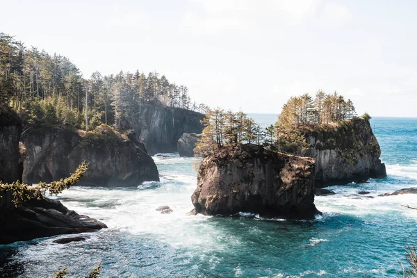 Piles Mer Large Côte Cape Flattery Dans État Washington — Photo