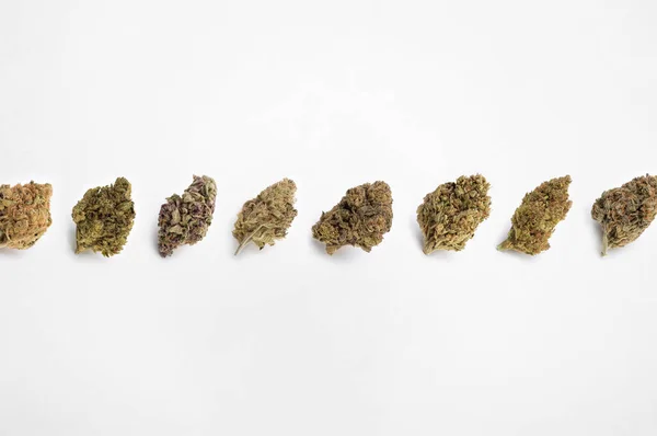 Beyaz Arka Planda Tıbbi Esrar Güzel Çiçek Marihuanası — Stok fotoğraf