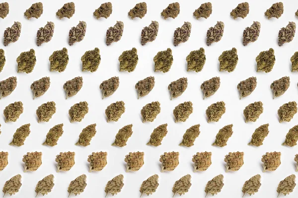 Beyaz arka planda tıbbi esrar, güzel çiçek marihuanası