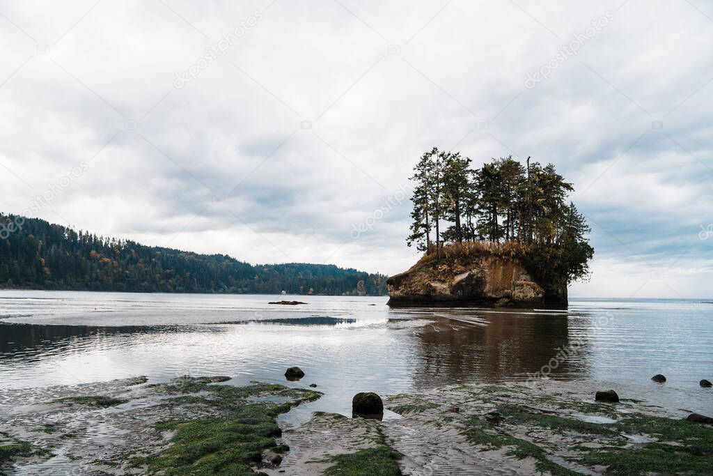 Sea stack with trees on Washington's North Coast