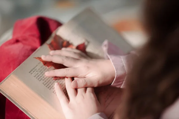 少女は本を読んでいると彼女の手に赤いカエデの葉を保持 — ストック写真