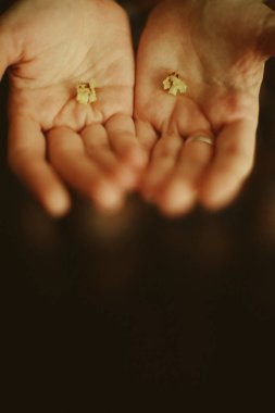 Vücut parçalarının sanat fotoğrafı