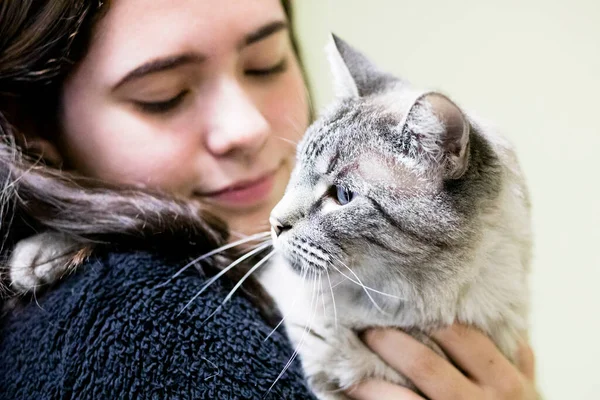 Multirazziale Adolescente Abbraccia Gatto Grigio Con Gli Occhi Blu — Foto Stock
