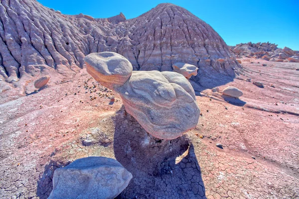 Piedra Forma Tortuga Parque Infantil Del Diablo Parque Nacional Bosque — Foto de Stock