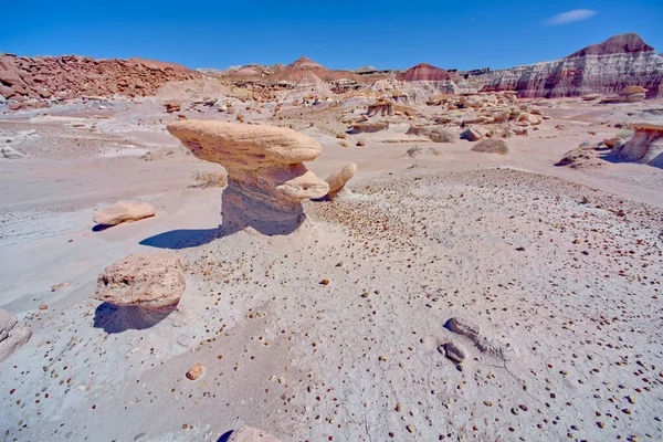 Rock Hoodoo Devil Playground Petrified Forest National Park Que Vuelve —  Fotos de Stock