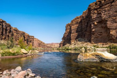 Parkta huzurlu manzaralı ferahlatıcı bir su akışı.
