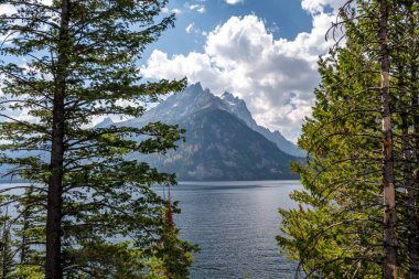 Koruma parkının yürüyüş izinden destansı dağ manzarası
