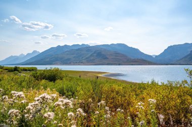 Koruma parkının yürüyüş izinden destansı dağ manzarası