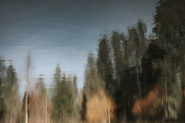 Reflection Trees Shevlin Pond Bend Oregon — ストック写真