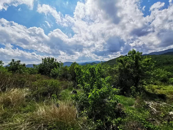 Tranquilidad Prado Nublado — Foto de Stock