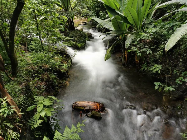 Skummande Vattendrag Naturen — Stockfoto