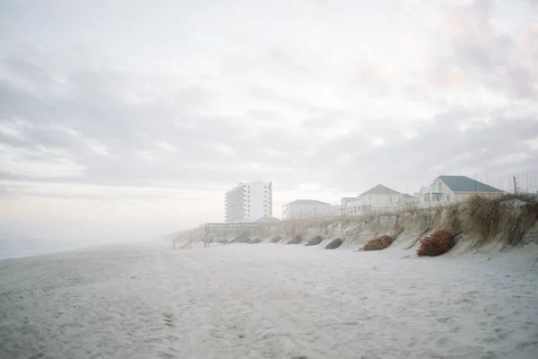 Używane Choinki Linii Wydmy Carolina Beach — Zdjęcie stockowe