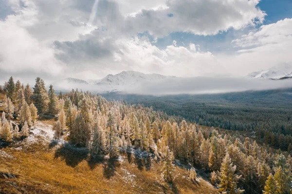 Vista Drone Floresta Coberta Neve Montanhas Altai — Fotografia de Stock