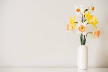 Karışık nergisler beyaz bir saksı vazosunda