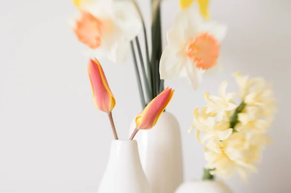春天把郁金香藏在一个有其它春天花朵的现代花盆里 — 图库照片